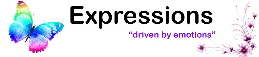 Expressions.aanush.com